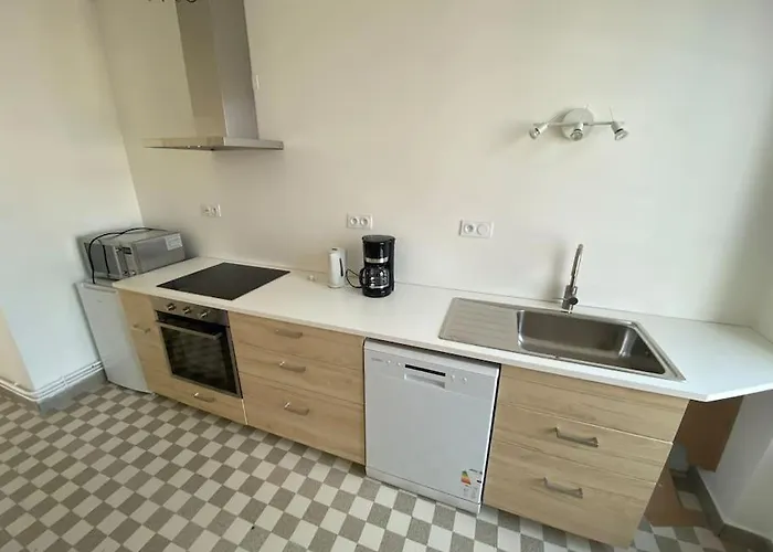 Spacieux Et Lumineux Centre Jaude 100m2 クレルモン・フェラン